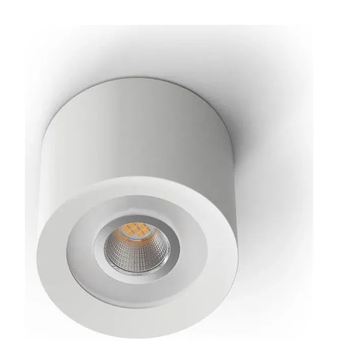 LED Ceiling Spotlight WW PMW White