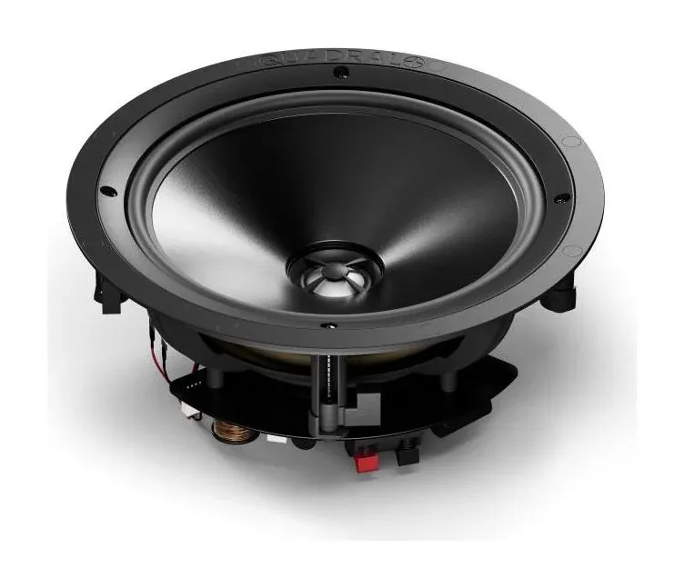 Install Speaker 10 Passive