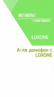 А-ля видеодомофон.