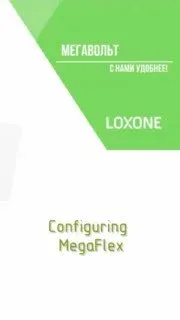 Настройка MegaFlex через Web интерфейс.