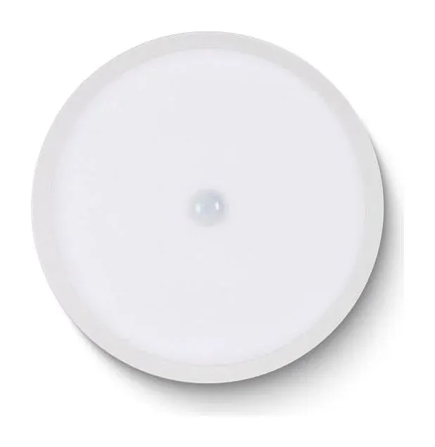 LED Ceiling Light RGBW Air White